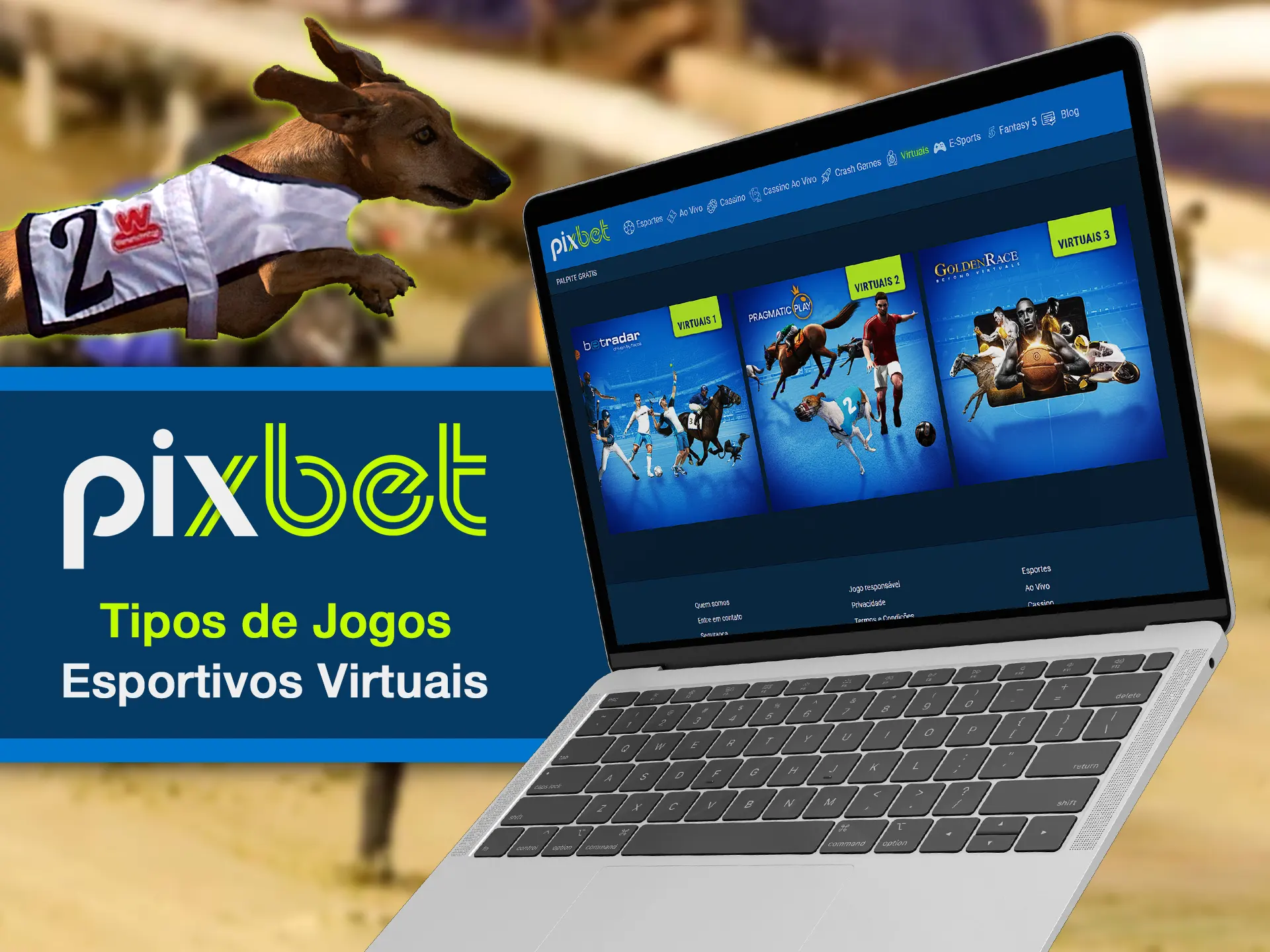 Choose what type of virtual sports your want to bet on at the Pixbet.